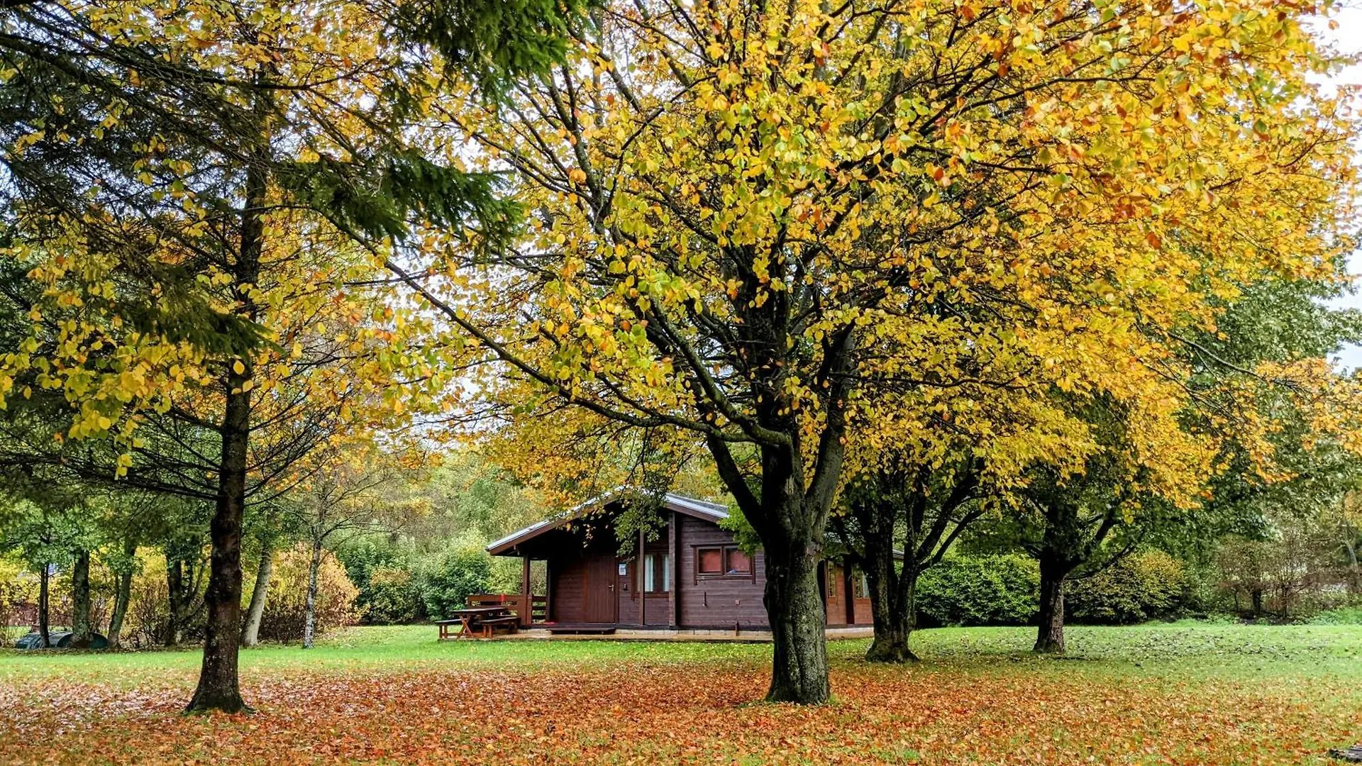 Pinecroft Lodges Ingleton  Verenigd Koninkrijk